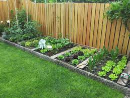 vegetable garden design