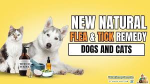 tick remedy for dogs and cats