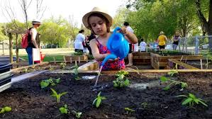 declare community gardens essential