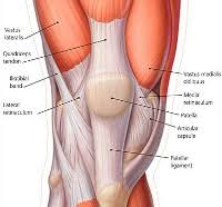 anterior knee pain akp alignment and