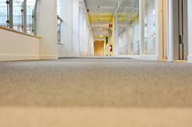 carpet cleaning winter park fl all