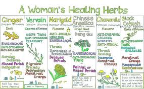 66 Cogent Healing Herbs Chart