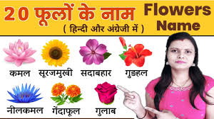 flowers name in hindi and english with