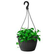 China Hanging Baskets And Plant Pot