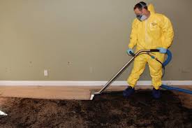 Sewage Cleanup Services In Kansas City