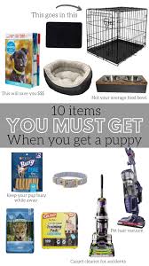 top 10 items for a puppy aseky co