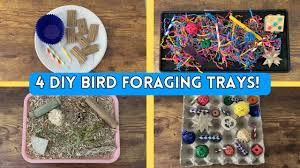 4 diy bird foraging trays