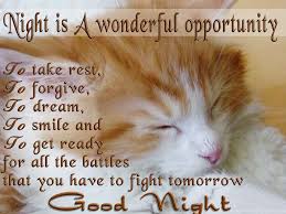 Good Night Greetings Quotes Wishes Hd Wallpapers Free Download