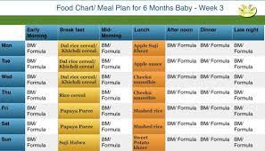 5 6 month baby food chart indian food