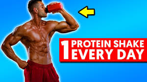 what drinking 1 protein shake a day
