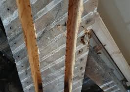 timber resin repair in north yorkshire