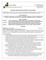 Executive Project Consultant Resume Example   Business Manager