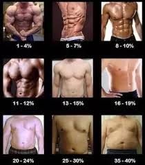 I Have A Low Body Fat Percentage 16 And Exercise