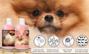 Pomeranian puppies for sale and dogs for adoption in minnesota, mn. The Blissful Dog Pomeranian Shampoo Luxury Dog Shampoo