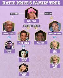 Taking to her youtube channel to update fans after he. Katie Price Family Tree All Her Children And Marriages