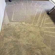 the 1 carpet cleaning in ogden ut 5