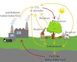 Apakah proses pembakaran bahan api fosil? Daur Karbon Dan Oksigen Idschool
