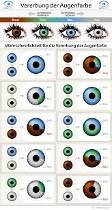 Augenfarben und ihre bedeutung