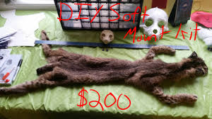 No beetles, no boiling, no mess! Diy Bobcat Soft Mount Kit For Sale By Whitewolfsin Fur Affinity Dot Net