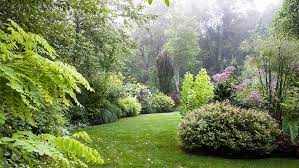 Create An Enchanting Garden Where The