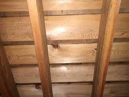 cedar roof under your shingles