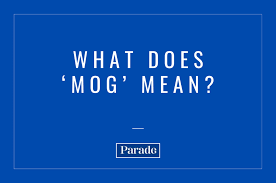 mog meaning in slang text parade
