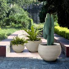 large indoor plant pots ideas on foter