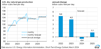 energy information administration eia