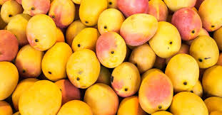 mango mouth may be due to a mango