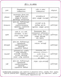 37 Scientific 1 Year Baby Food Chart In Tamil