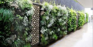Vertical Gardens Are Helping Reshape
