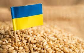 Primul transport de cereale din Ucraina de la începutul invaziei ruse suferă întârzieri din cauza vremii nefavorabile - Stirileprotv.ro