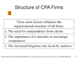 The Cpa Profession Chapter Ppt Download