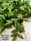 How long can you keep curry leaves in the fridge?
