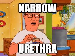 Narrow Urethra - Hank Hill Wisdom - quickmeme via Relatably.com
