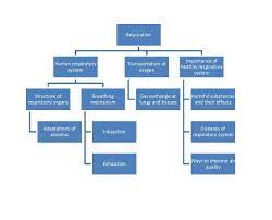 Also, most of the competitive exam question papers. Chapter 1 Respiration Form 3 Science