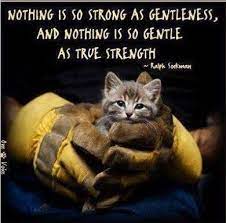 1 because of your difficult experience, you will. Quotes About Compassion For Animals Quotesgram