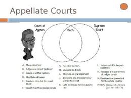 Judicial review the power of the supreme court to decide what the constitution really says. Civics Unit 9 Day 3 Appellate Courts Powerpoint Tpt