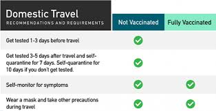 travelers coronavirus