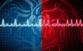Heart Rates Understanding A Heart Rate Chart And What A