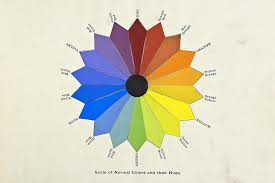 Elements Of Design Spotlight On Color