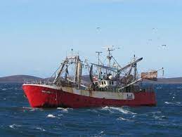 Grupo Veraz | Un grupo de empresas integrado en la cadena de valor de la  industria pesquera y naval.