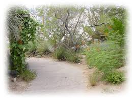 8 Best Las Vegas Botanical Gardens And