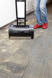 budget carpet cleaning services