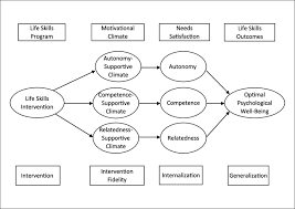Documentations et aux nombreuses archives sur tous les modèles de train belge, français, italien, espagnol Hypothesized Conceptual Model Of Ls Development The Ldi Bnt Ls Model Download Scientific Diagram