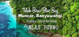 Teluk banyu biru merupakan area konservasi yang masih masuk dalam wilayah taman nasional alas purwo, banyuwangi, jawatimur. Teluk Biru Muncar Banyuwangi Harga Tiket Dan Sewa Perahu