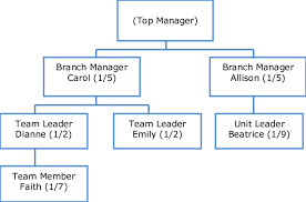 Organizational Chart Of The Foundation Download Scientific