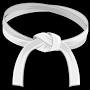 taekwondo belts from googleweblight.com
