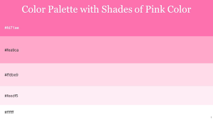 color palette with five shade hot pink
