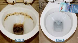 Toilet Bathroom Cleaning Services